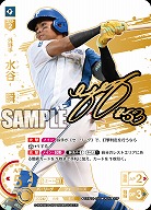 ※秋葉原店併用商品 水谷　瞬(北海道日本ハムファイターズ)(SSP) 【TBP01-F09SSP】